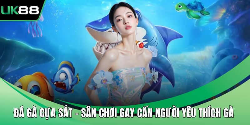 Đá gà cựa sắt