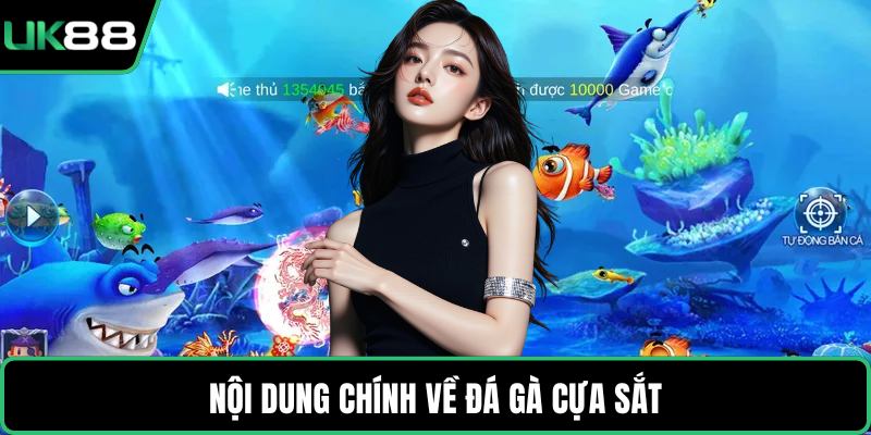 Nội dung chính về đá gà cựa sắt