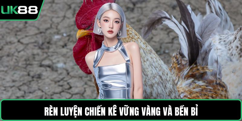Rèn luyện chiến kê vững vàng và bền bỉ