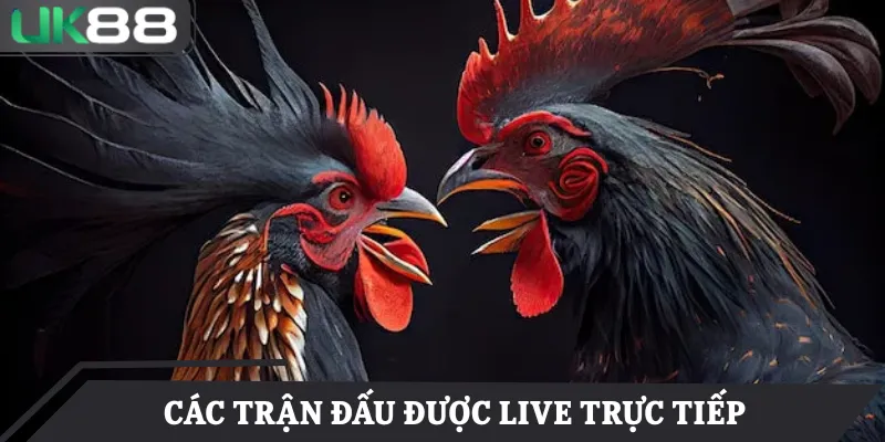 Các trận đấu được phát sóng live với hình ảnh sắc nét