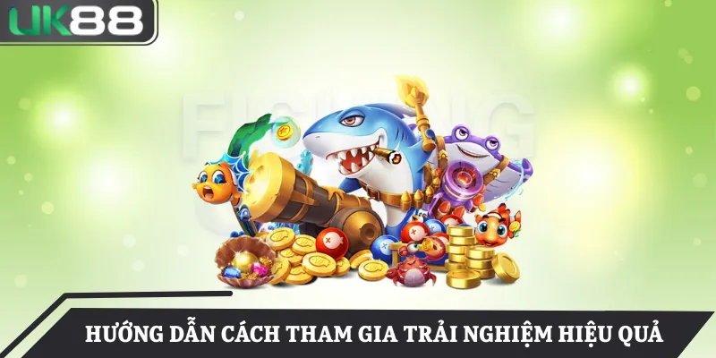 Hướng dẫn cách tham gia trải nghiệm hiệu quả